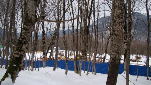 (2011.02.23) ЭкоВахта посетила район строительства олимпийской резиденции Путина и Медведева